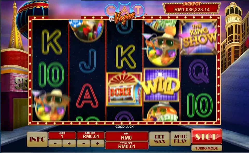 Reel Cat in Vegas berputar di Rollex11 dengan kotak Bonus dan Wild mendarat di reel 3 dan 4